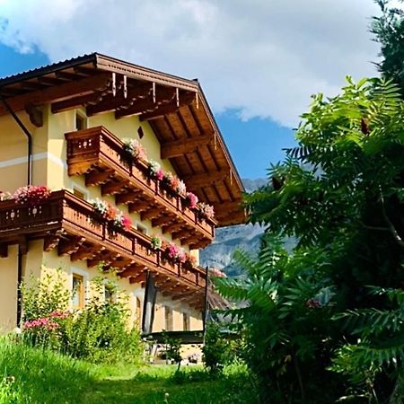 Alpen Appartements Oberlehengut Werfenweng Bagian luar foto