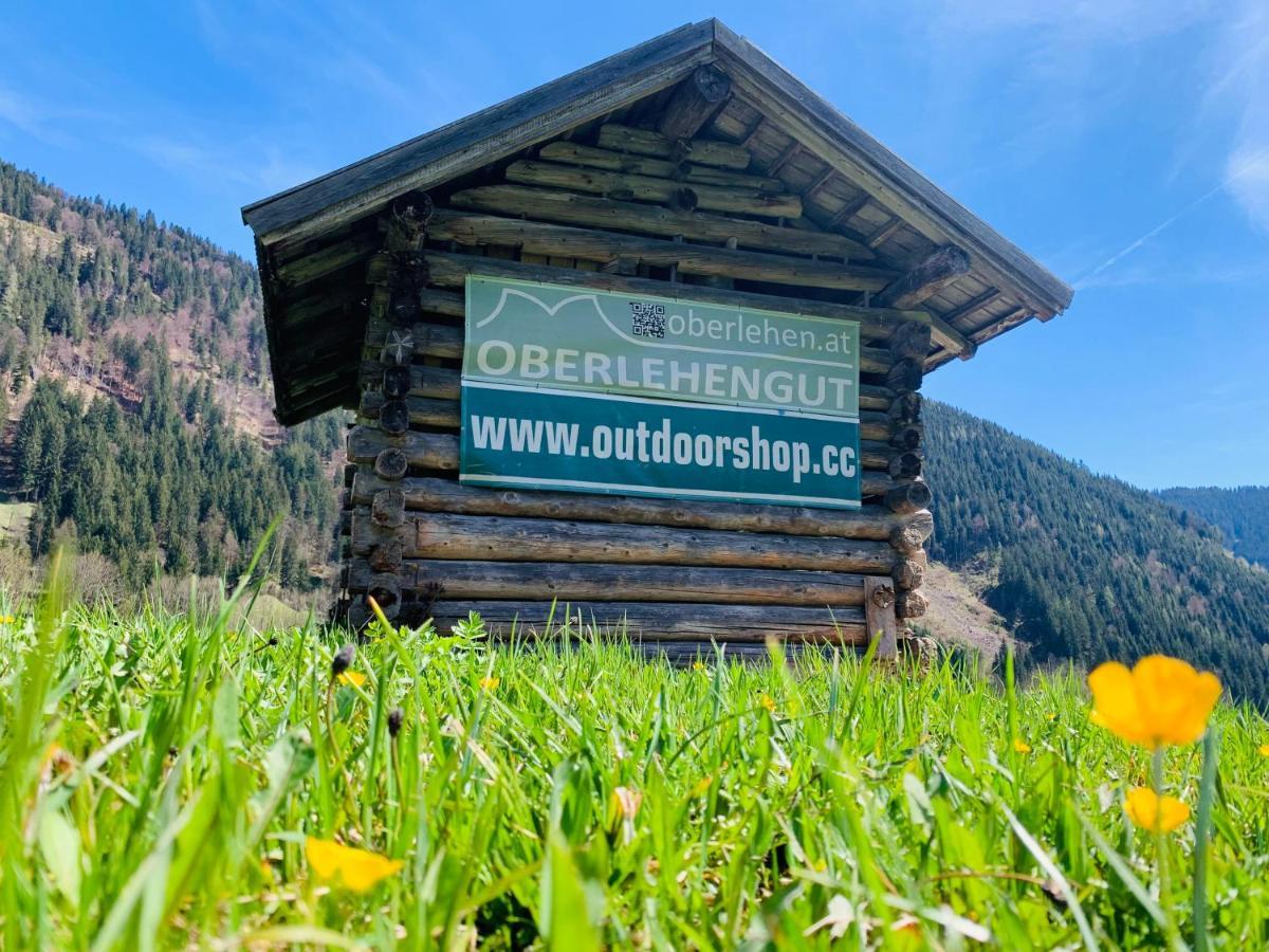 Alpen Appartements Oberlehengut Werfenweng Bagian luar foto