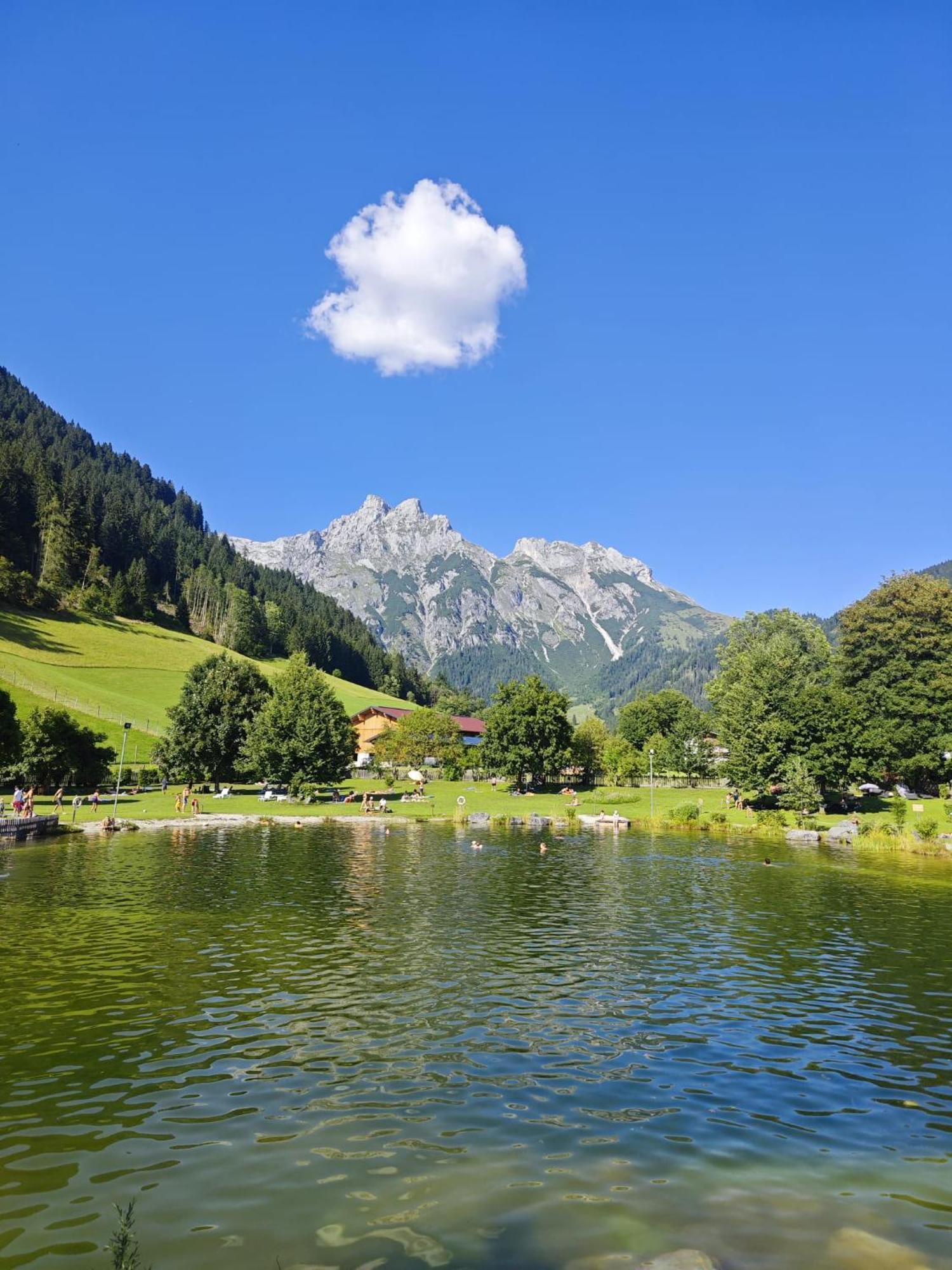 Alpen Appartements Oberlehengut Werfenweng Bagian luar foto