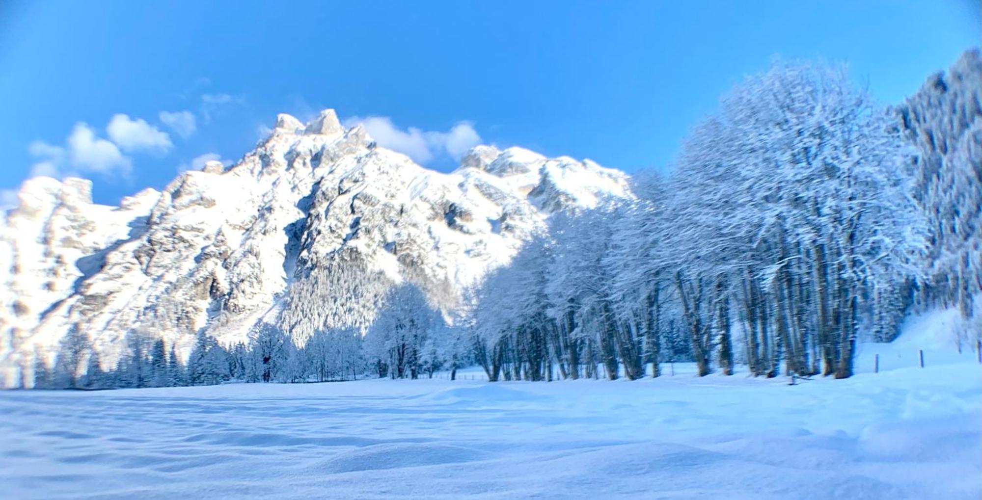 Alpen Appartements Oberlehengut Werfenweng Bagian luar foto