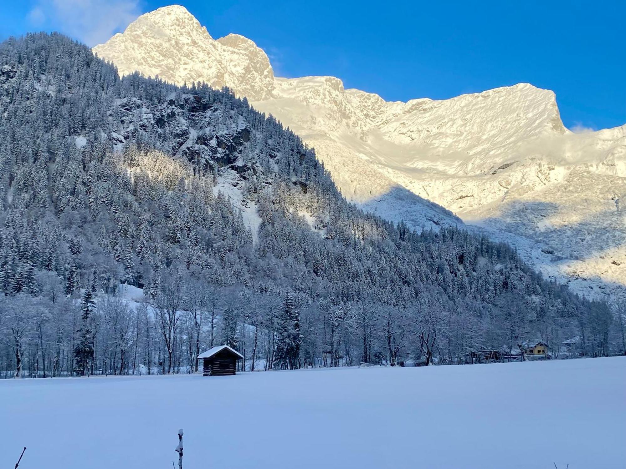Alpen Appartements Oberlehengut Werfenweng Bagian luar foto
