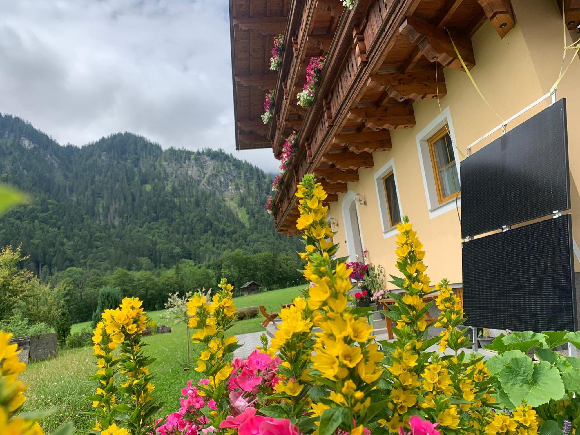 Alpen Appartements Oberlehengut Werfenweng Bagian luar foto