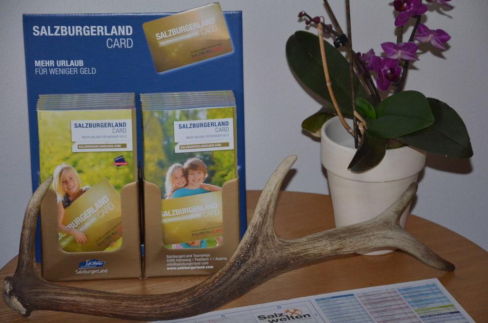 Alpen Appartements Oberlehengut Werfenweng Bagian luar foto