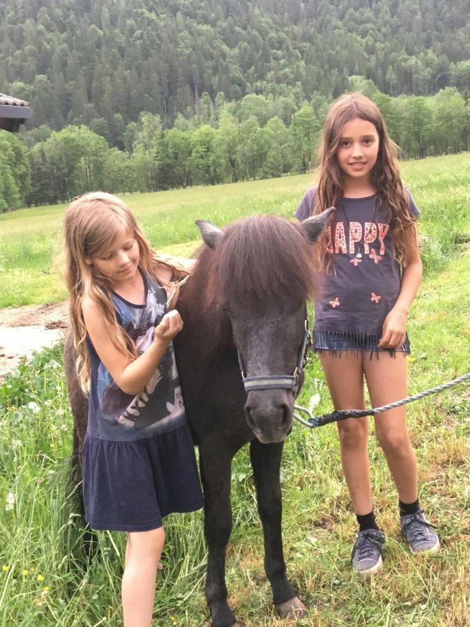 Alpen Appartements Oberlehengut Werfenweng Bagian luar foto